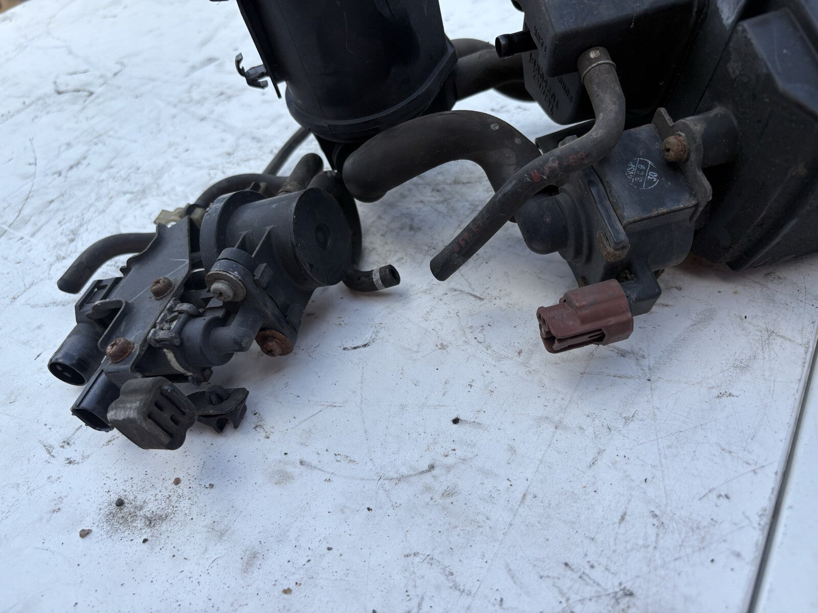 2000-2005 Honda S2000 Charcoal Canister