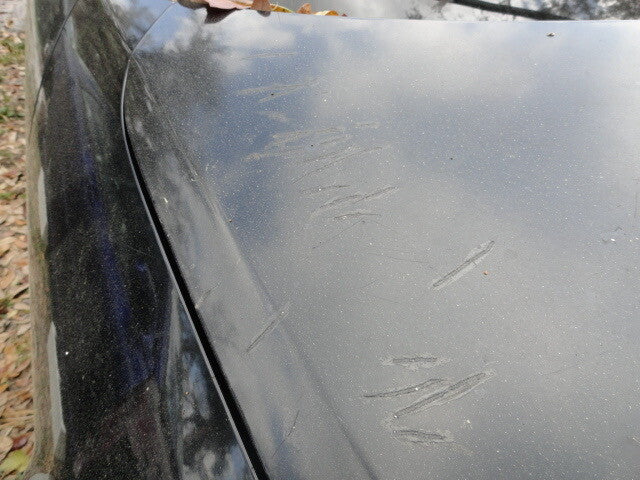 2004 Mazda RX8 Hood