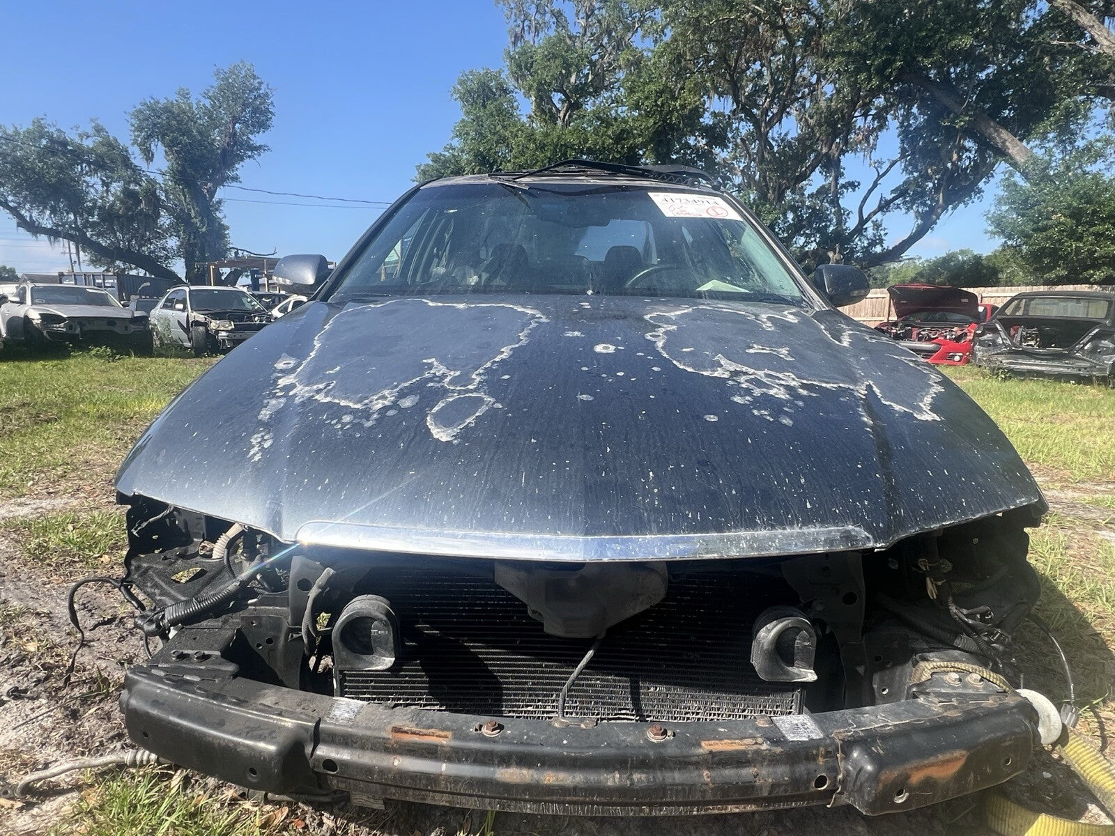 2006-08 (2006) Acura TSX Hood Bonnet