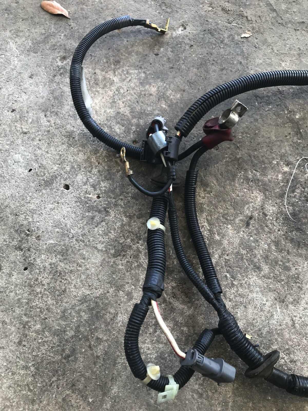 2001 Honda S2000 Battery Sub Harness