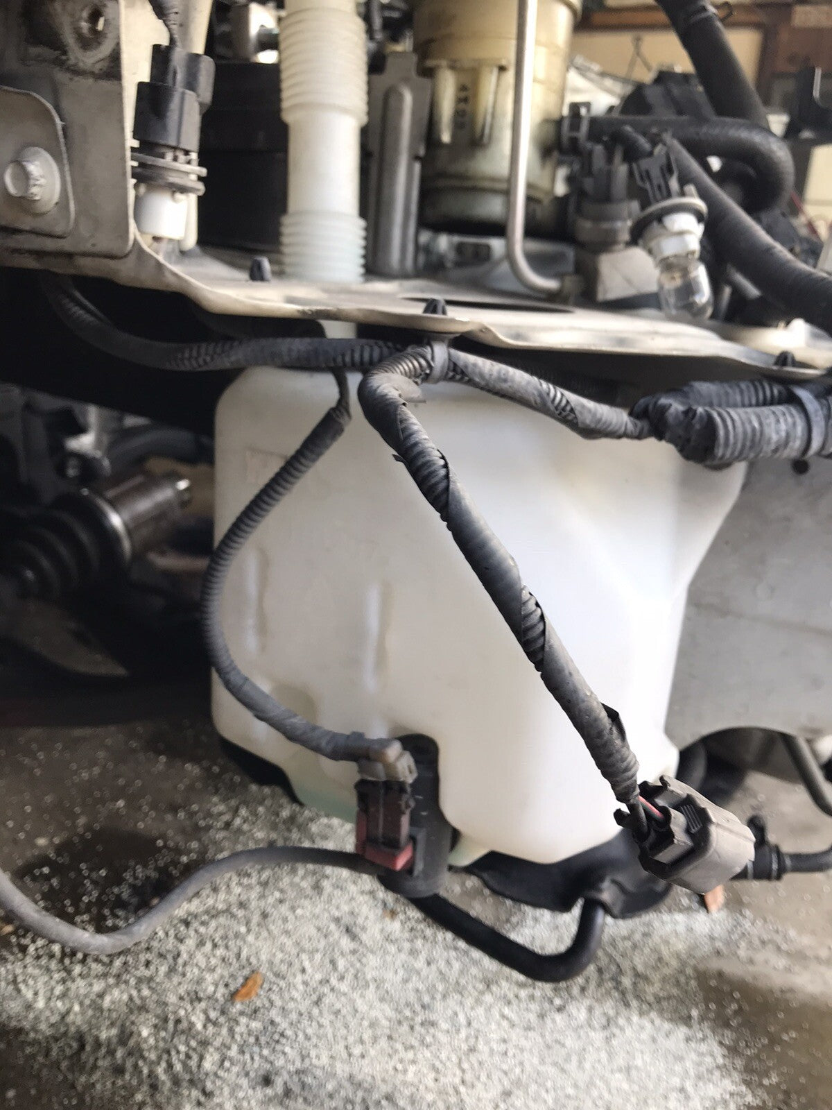 02-05 Acura TSX Wind Shield Washer Bottle