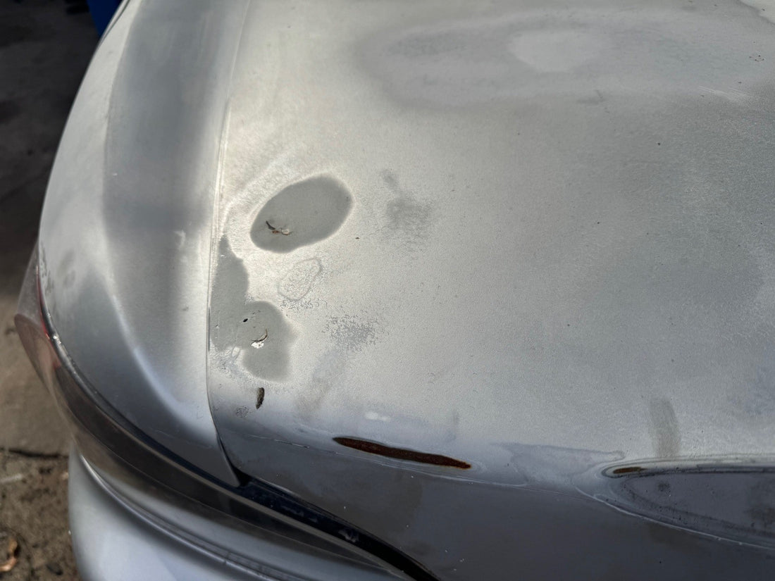 2000-2005 Honda S2000 trunk lid