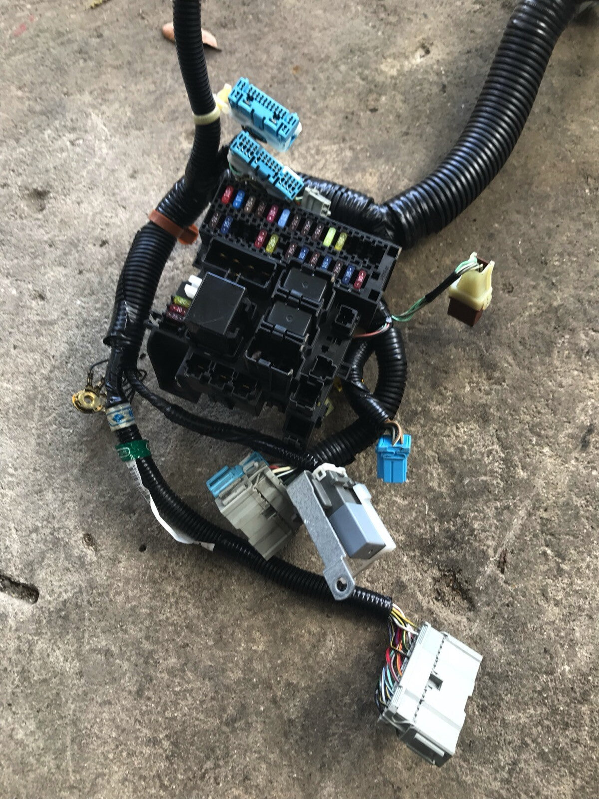 2001 Honda S2000 Interior Fuse Box Harness
