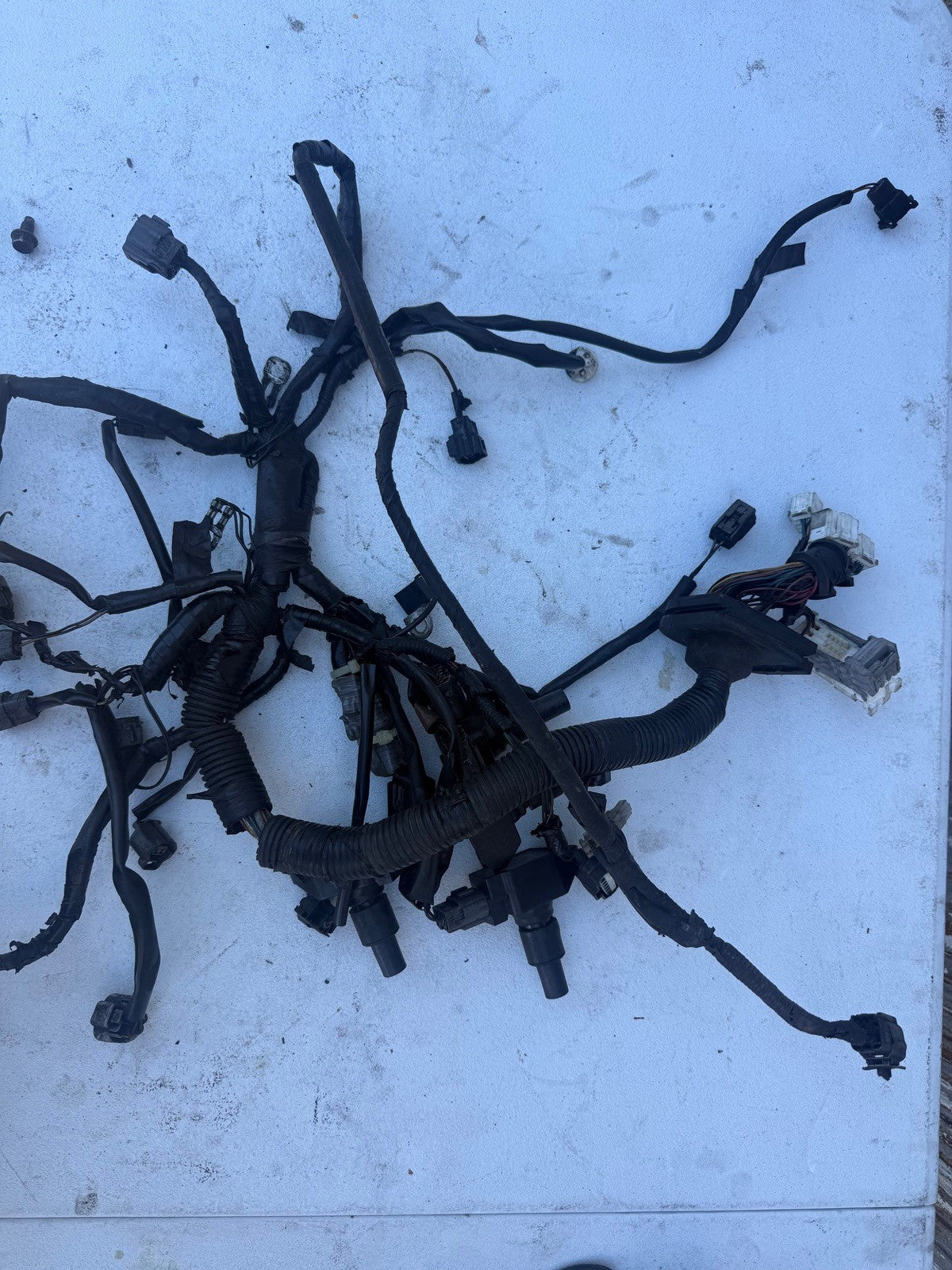 2004-2008 Mazda Rx8 Engine Harness 6 speed 6 port