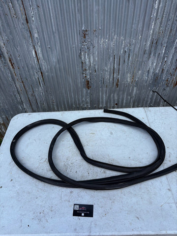 2004-2011 Mazda RX-8 RX8 Driver Chassis Side Door Seal OEM 