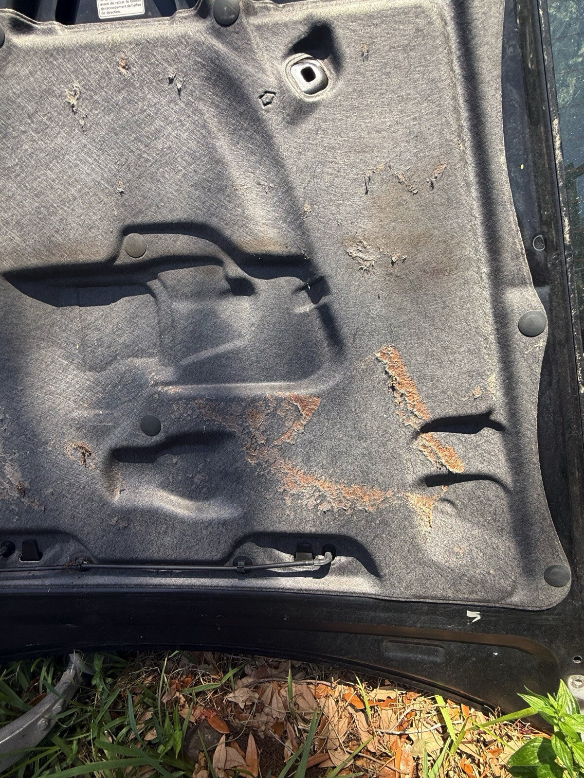 2000-2009 Honda S2000 Hood Insulation pad OEM