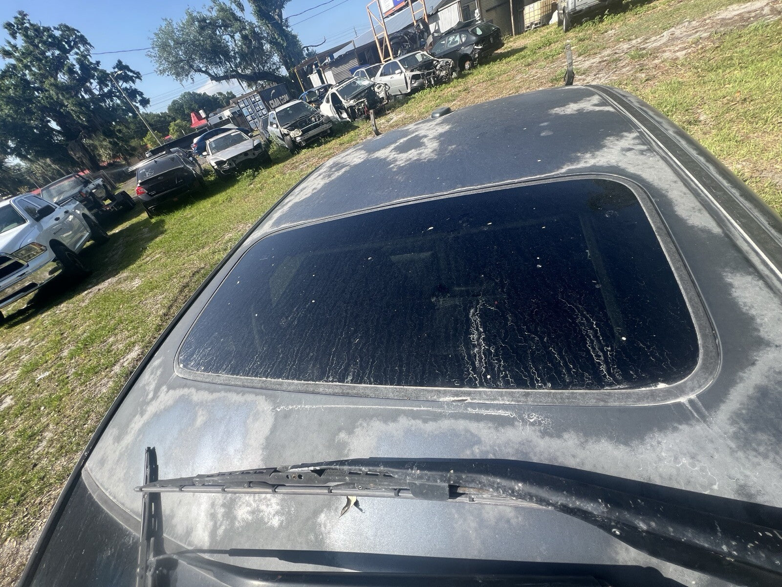 2004-08 (2006) Acura TSX Sunroof Assembly
