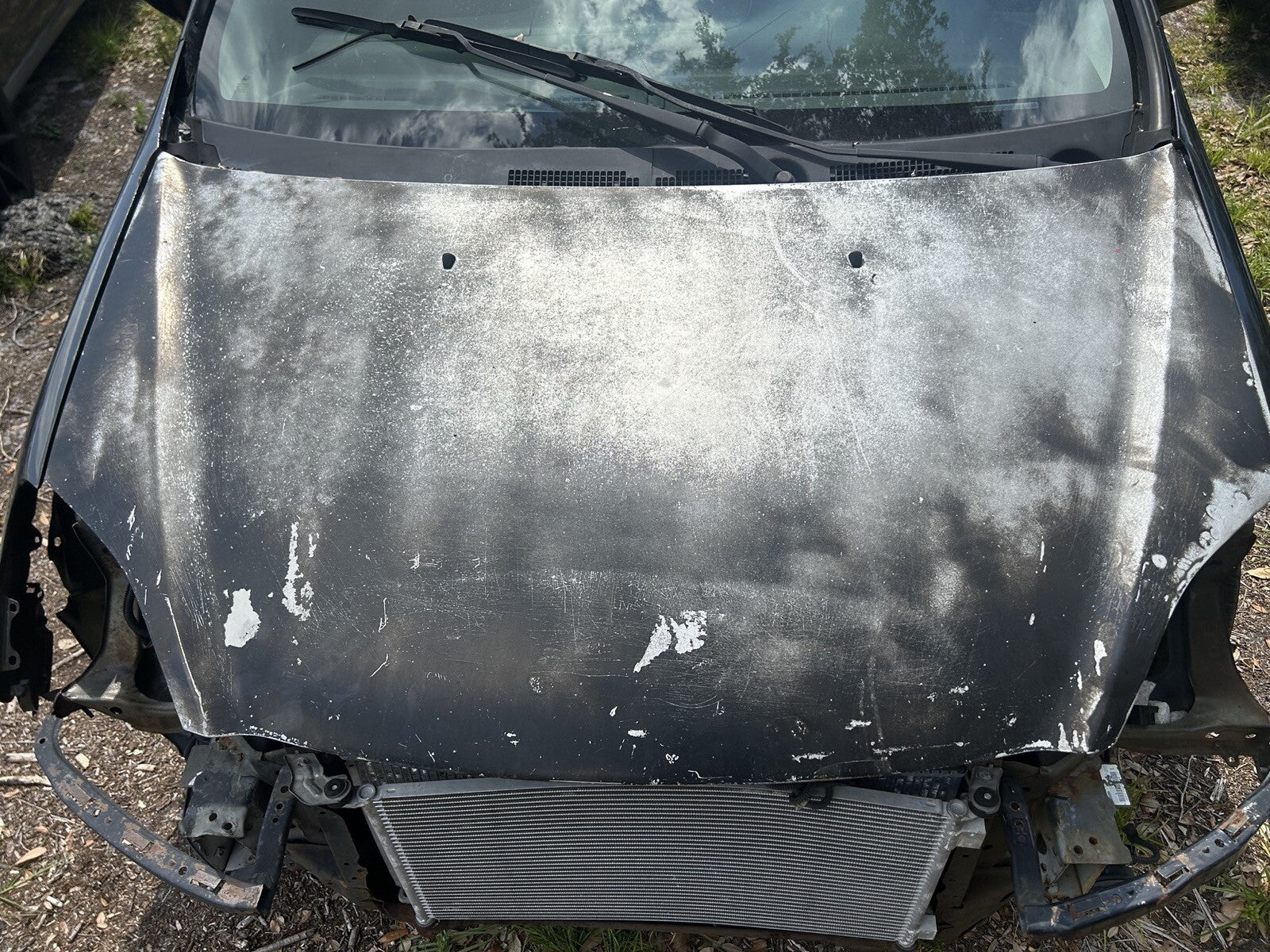 02-05 Honda Civic SI Ep3 Hood 