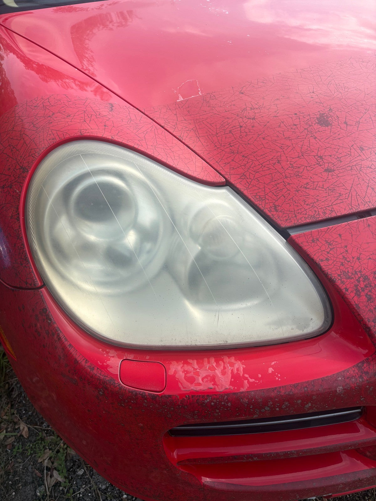 2003-2006 Porsche Cayenne 955 Right Passenger Side Head Light Lamp OEM 