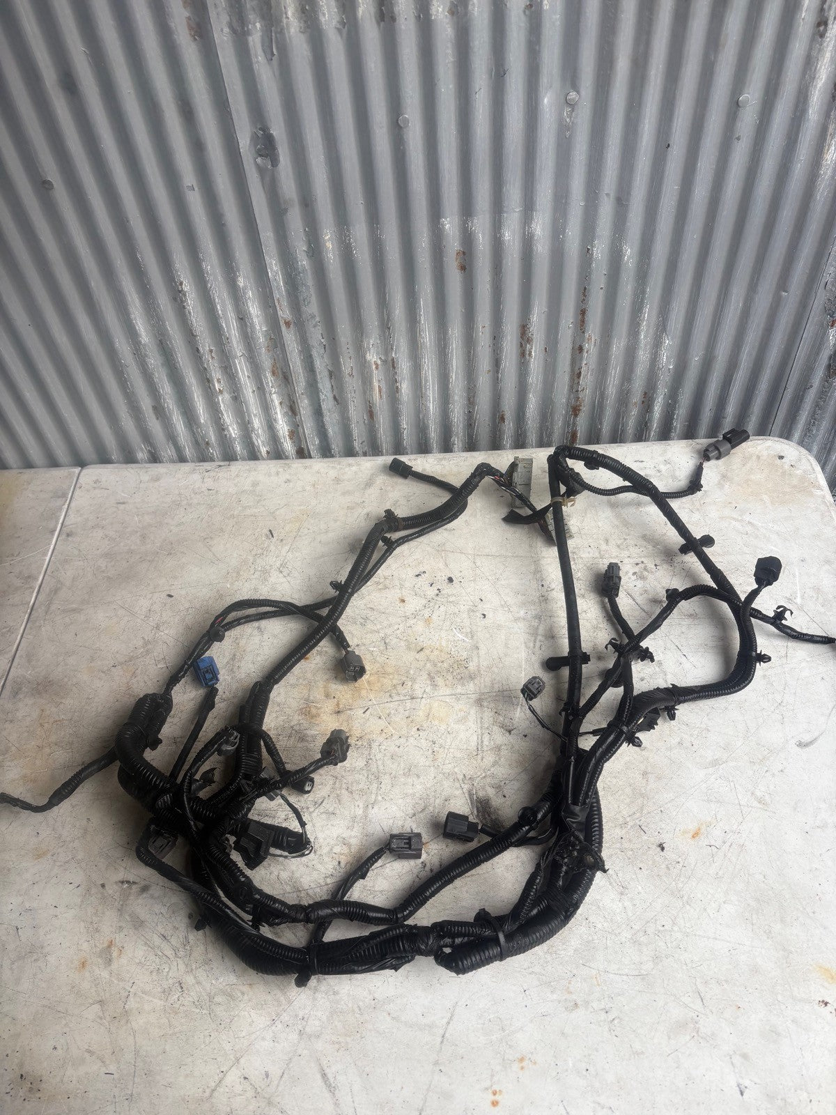 2006-2008 Acura TSX Headlight Engine Bay Harness 